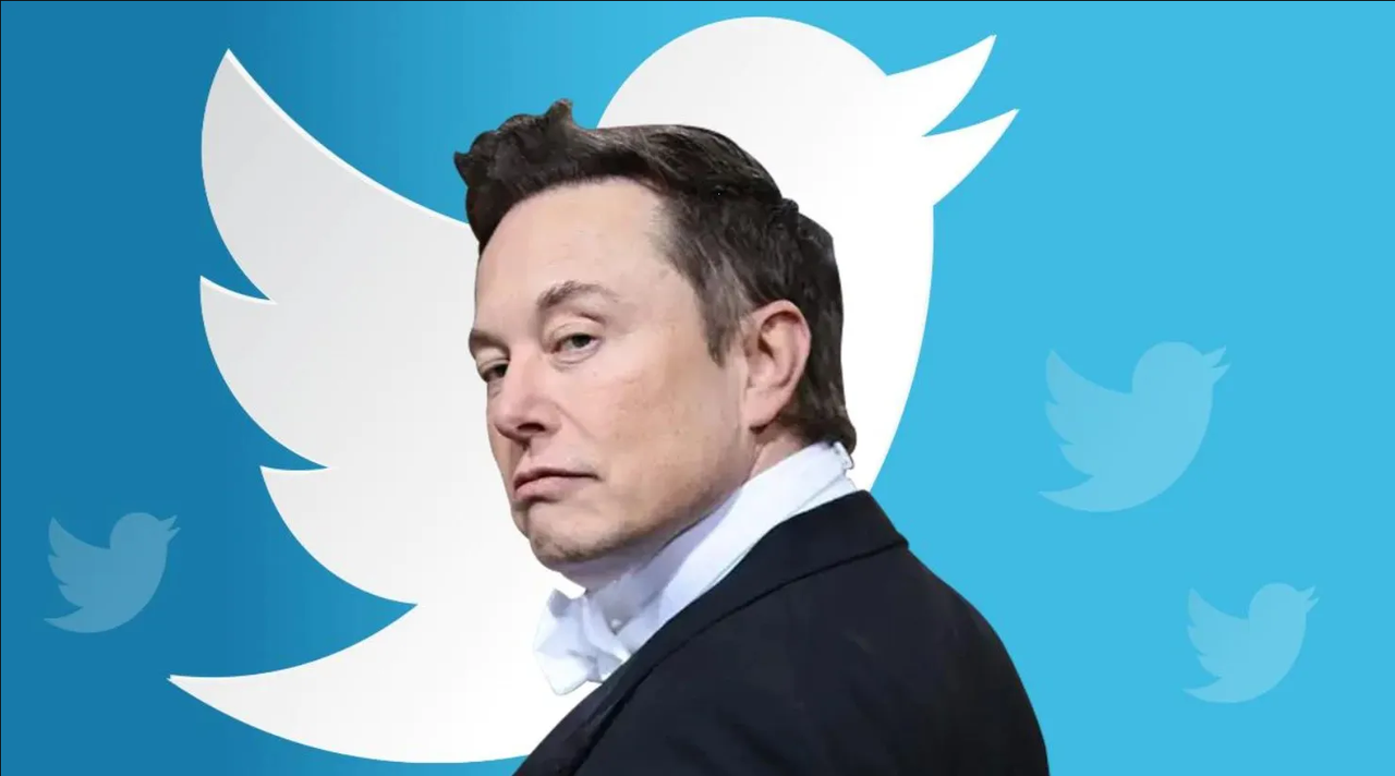 Musk restringe encuestas a usuarios de Twitter