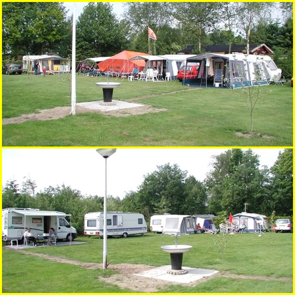 2006
