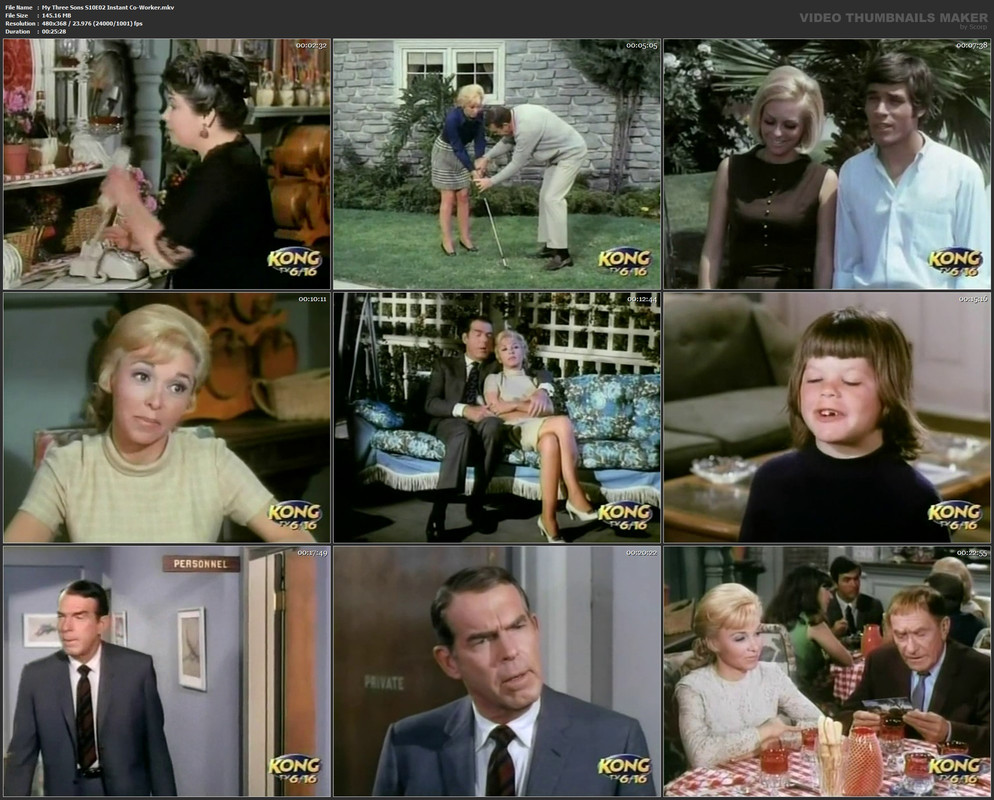 My Three Sons S10E02 Instant Co-Worker.mkv