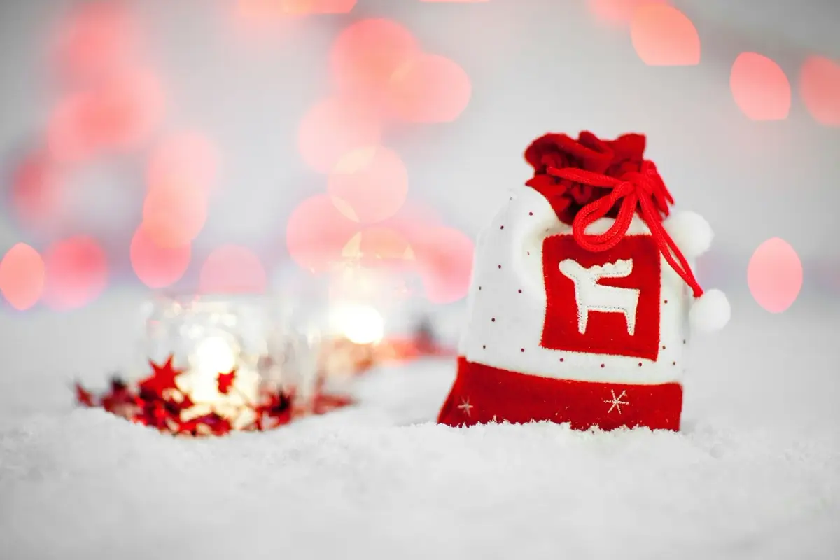 red-bag-21467-1280.webp