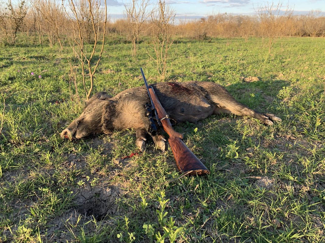 505D6BBC-612D-4E9A-BDA2-764053D38E0E