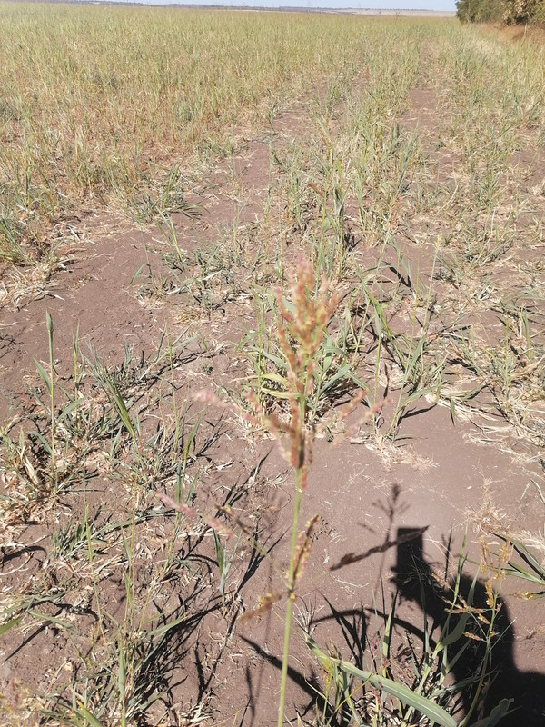 IMG_20240908_122936[1]