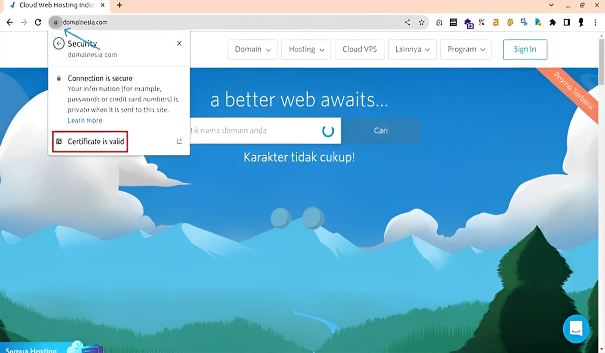 Gunakan Website Checker Atau Scam Detector