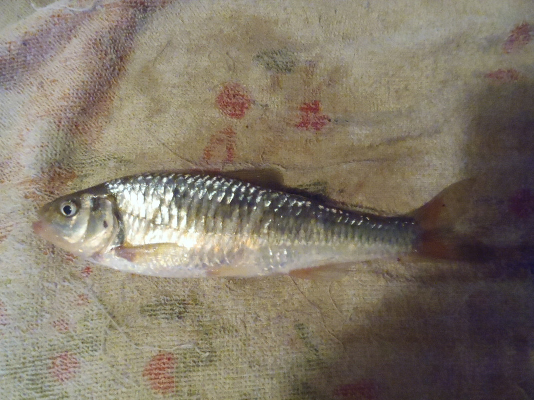 P4080006
