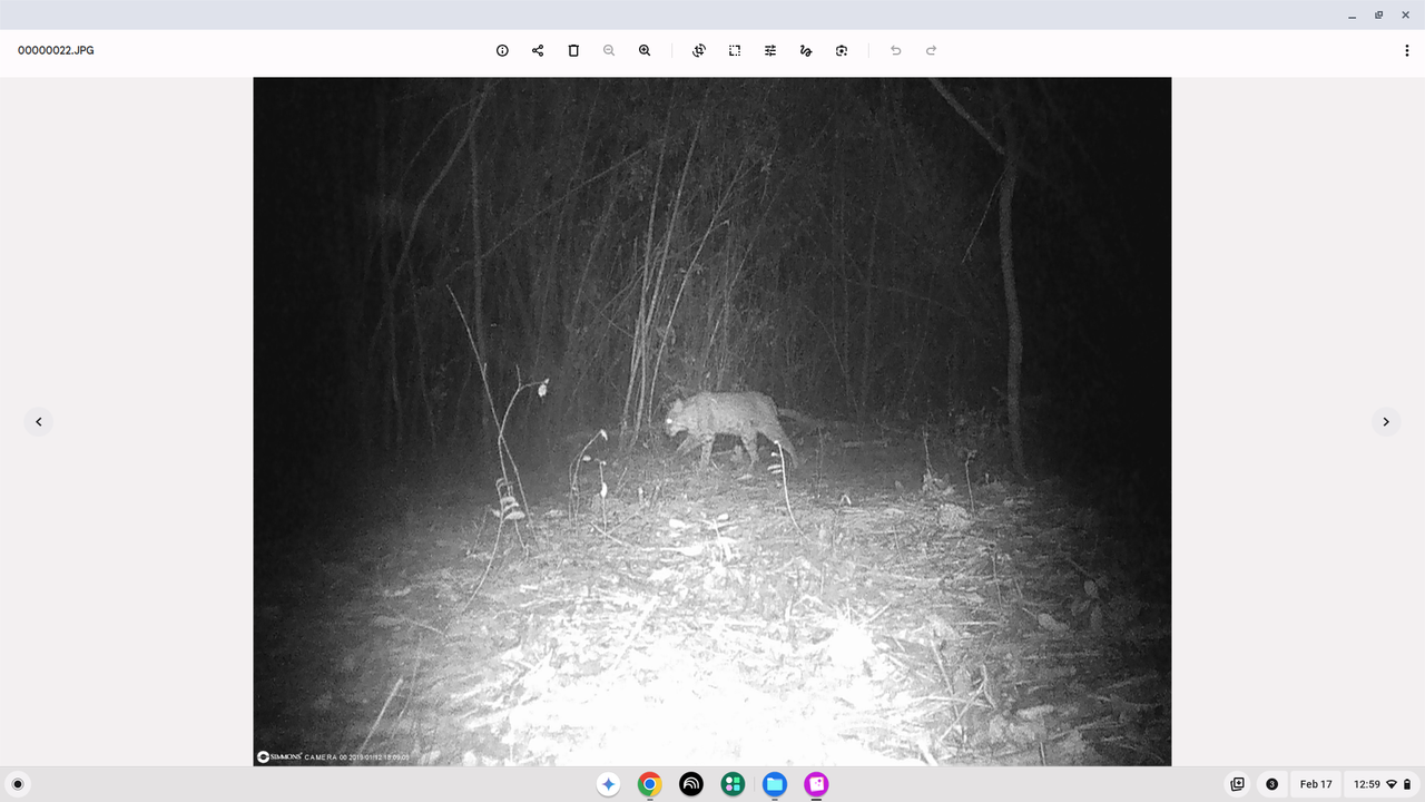 Screenshot 2026 02 17 12 59 10 PM