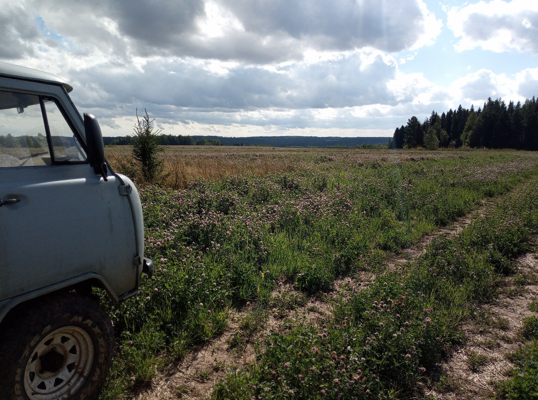 DCD18650-B2C4-4DD4-8BF7-7C2704407B14