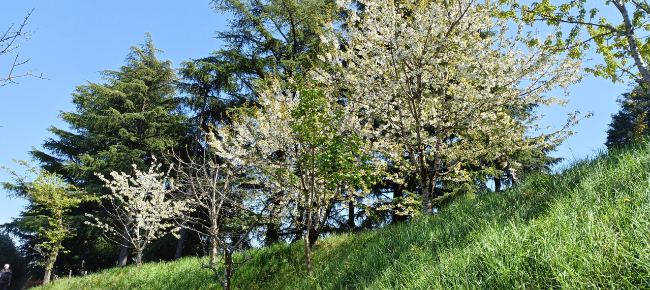 IMG20260406142303.jpg