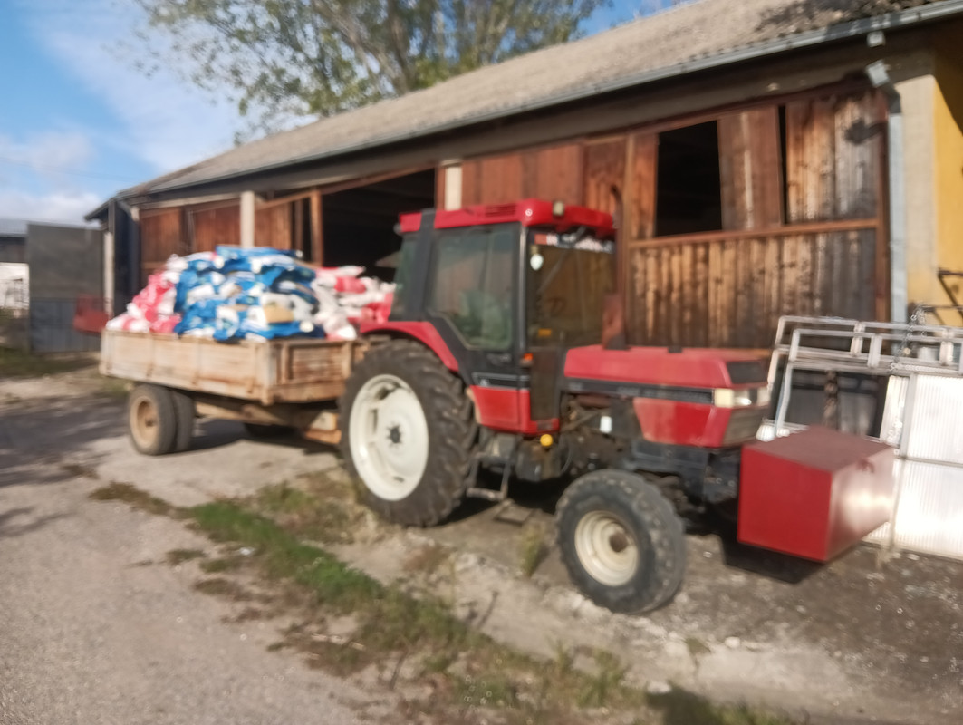 IMG 20251011 150854289