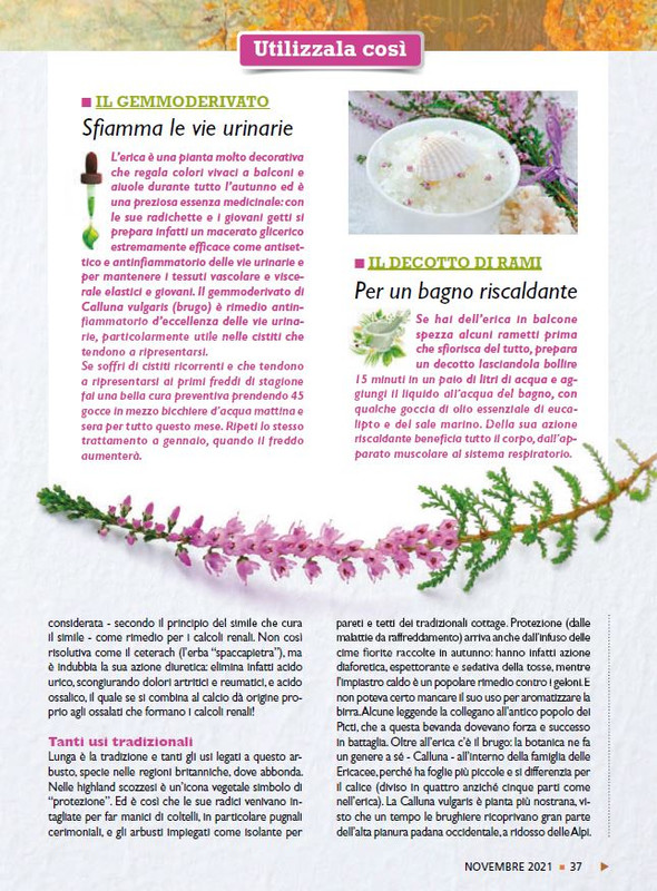 Sal Nat Nov 2021 (6)