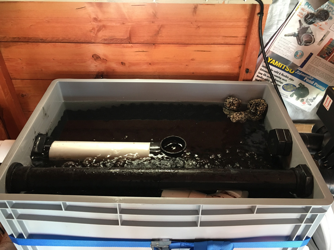 6D7BA193-A8C7-4A1C-92DC-EA64F429E359