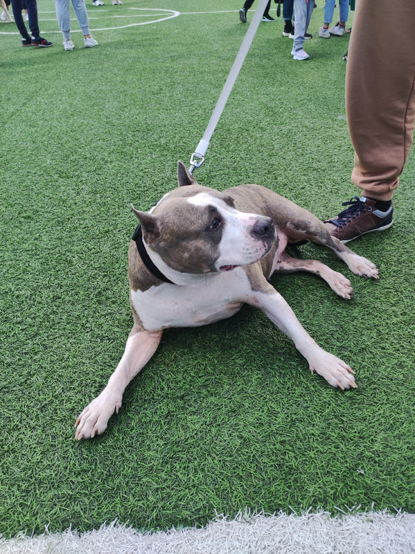 ED16D25A-0EA4-4AB8-A2F9-792B2CAFE970