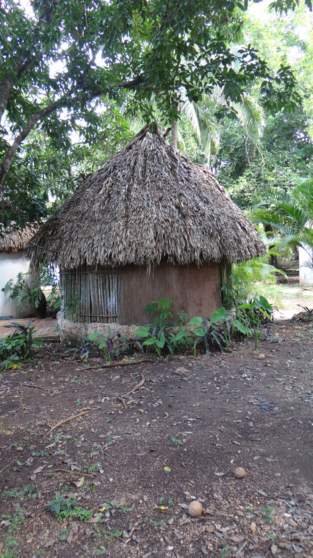 DSC01129