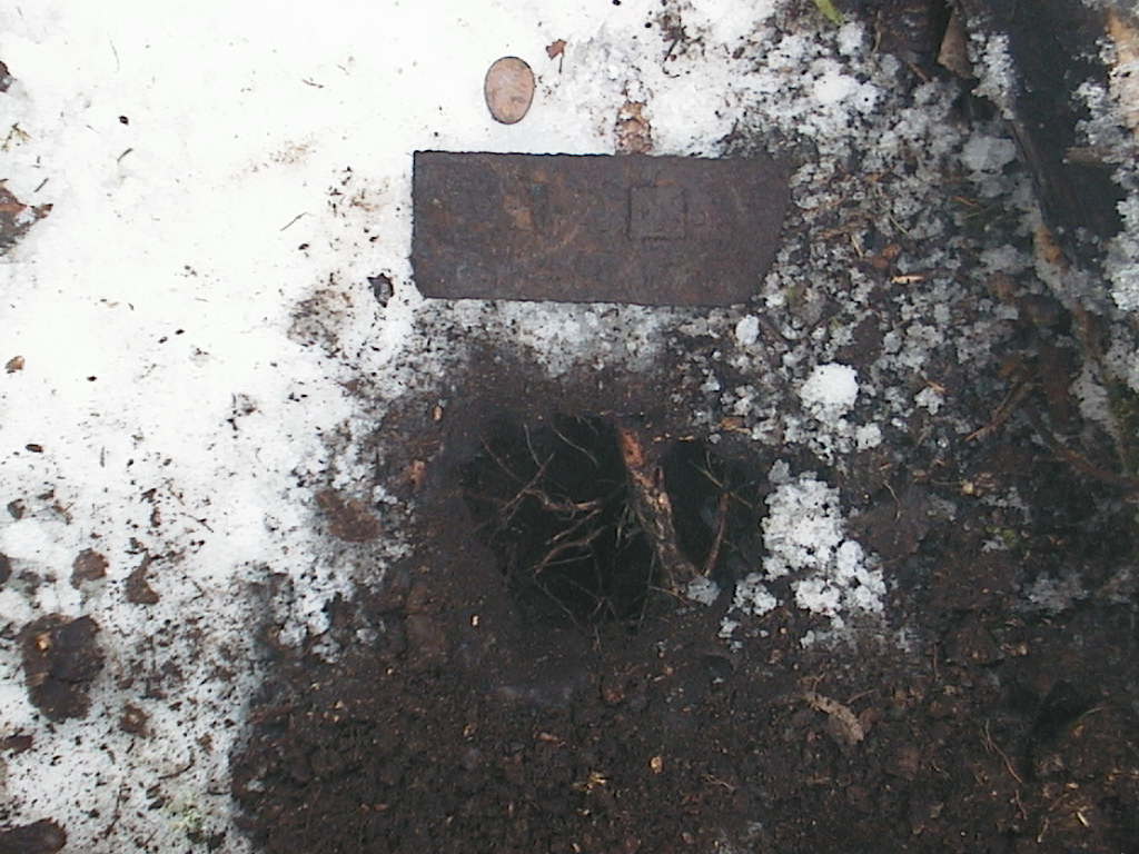 päivänlöydöt 08032016 002