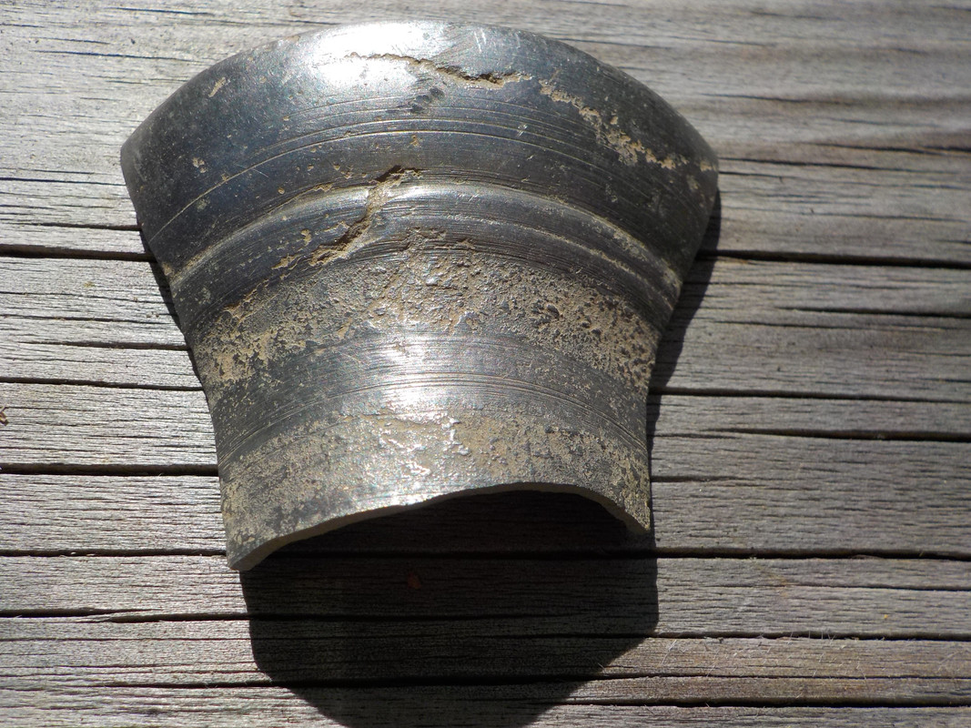 DSCN2317 (takapelto)