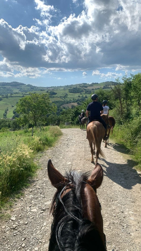 Paseo a caballo en montaña - tours República Dominicana