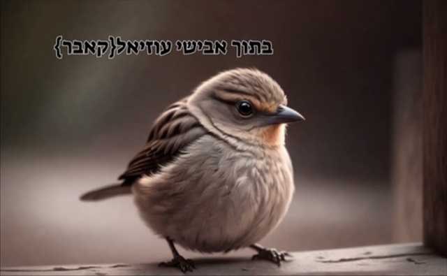 תמונה