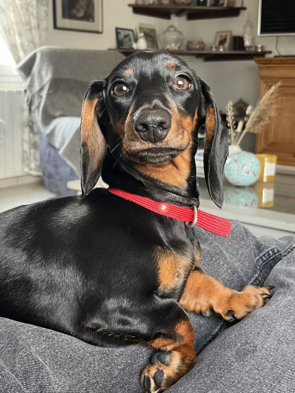 [Image: IMG-5600.jpg]