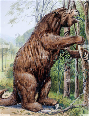 Megatherium Preview