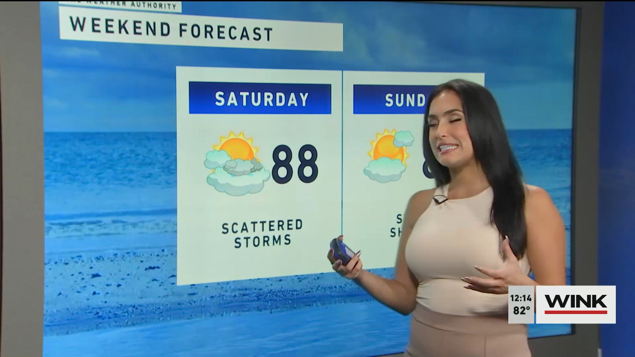 10.14 - 17.00.00 - The WINK Noon News  ᴺᵉʷ. Midday news update..ts_snapshot_21.22.796