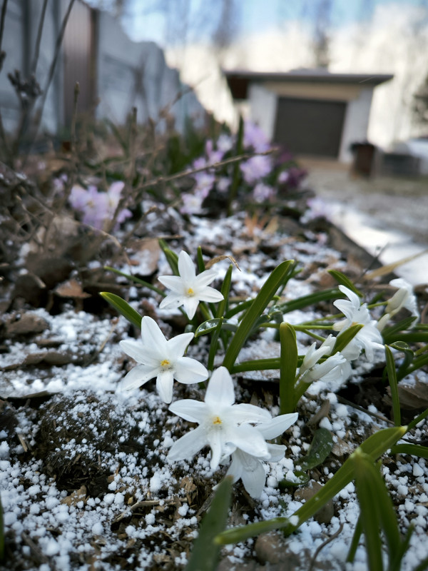 IMG_20250410_175959