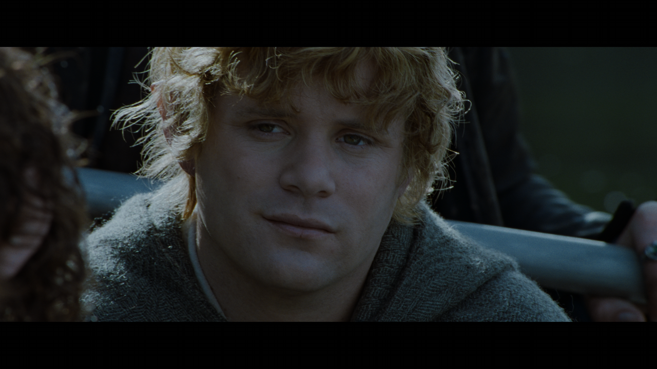 The Lord of the Rings- The Fellowship of the Ring (EXT.).mkv_snapshot_01.04.13_[2020.12.05_22.55.48]