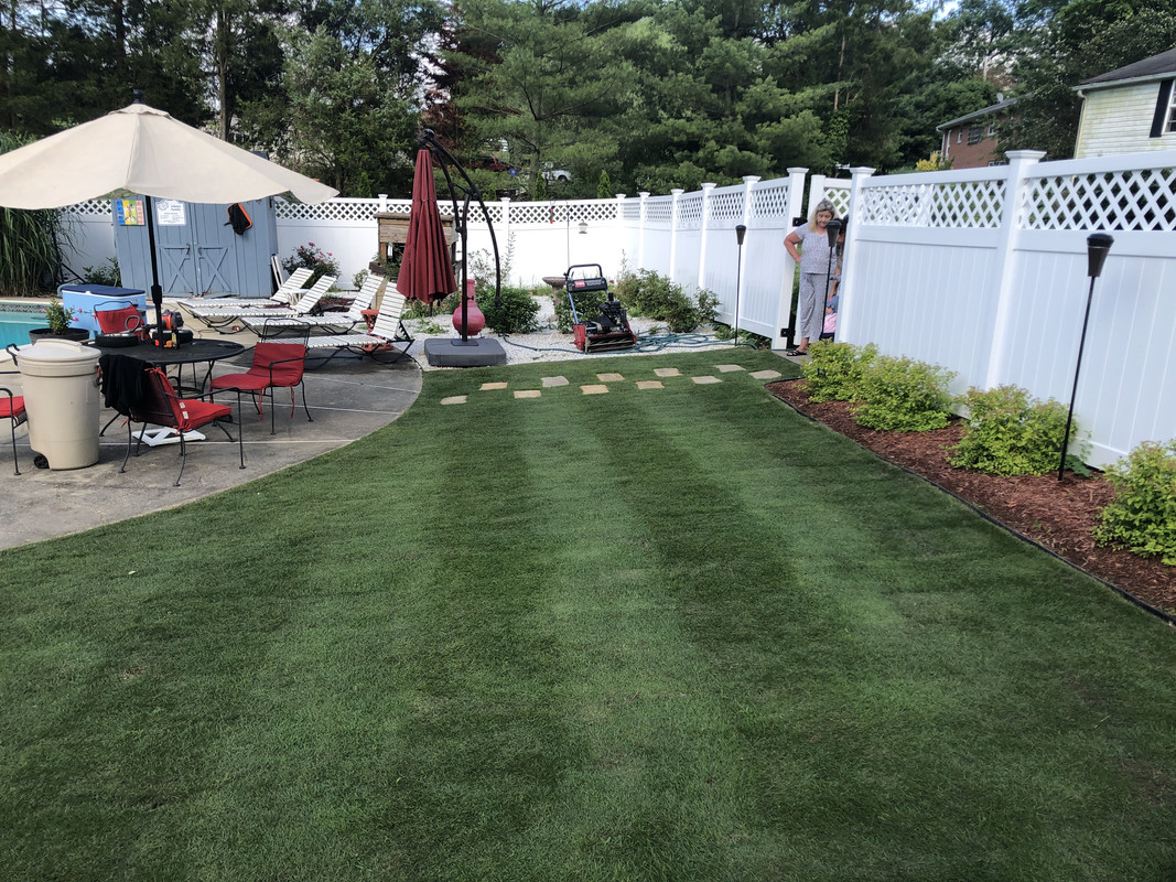 Zoysia Owners: Do you like it? - The Lawn Forum