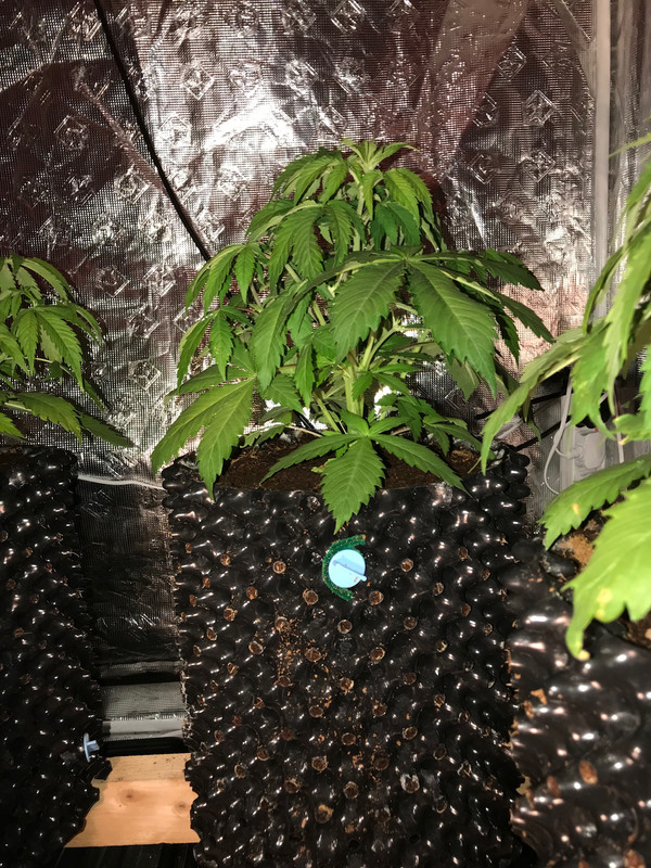 F837A4FE-6DE8-4DBE-9A78-DF4BD59E33ED