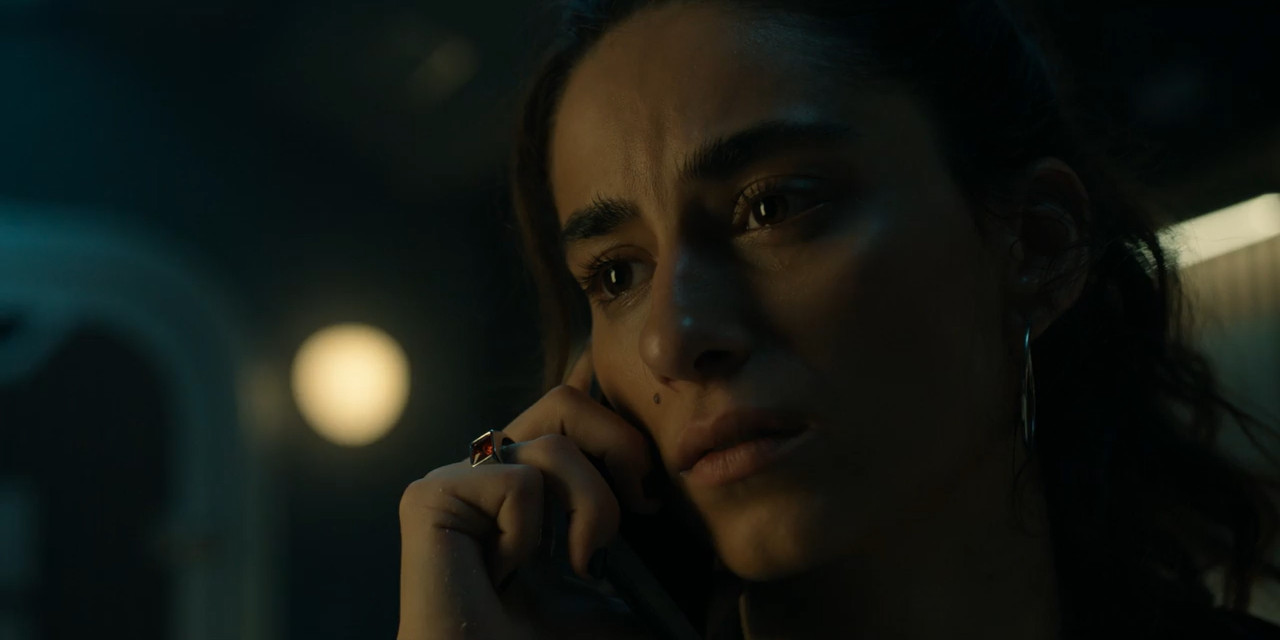 Berlin and the Lady with an Ermine 2026 WebRip Season 1 [Hindi + Tamil + Telugu + English] 480p 720p ESub Screenshot