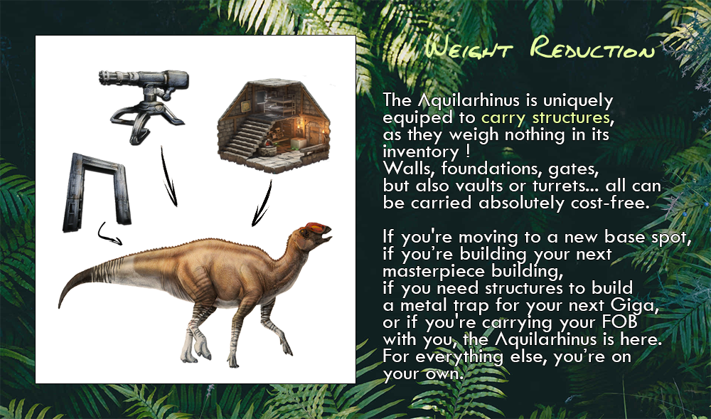 AQUILARHINUS-Abilities-Weight-Reduction.