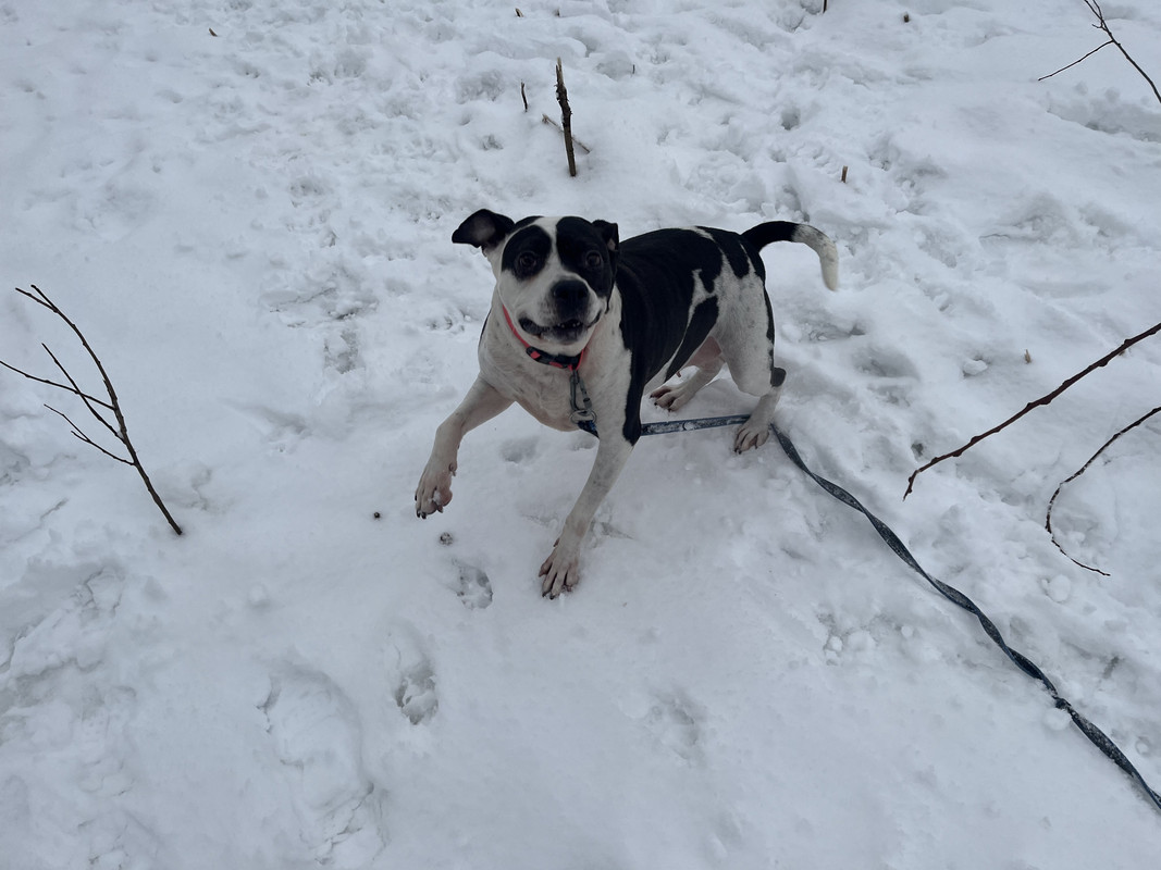 3E8641B2-B2E2-4CB4-A479-103F86517070