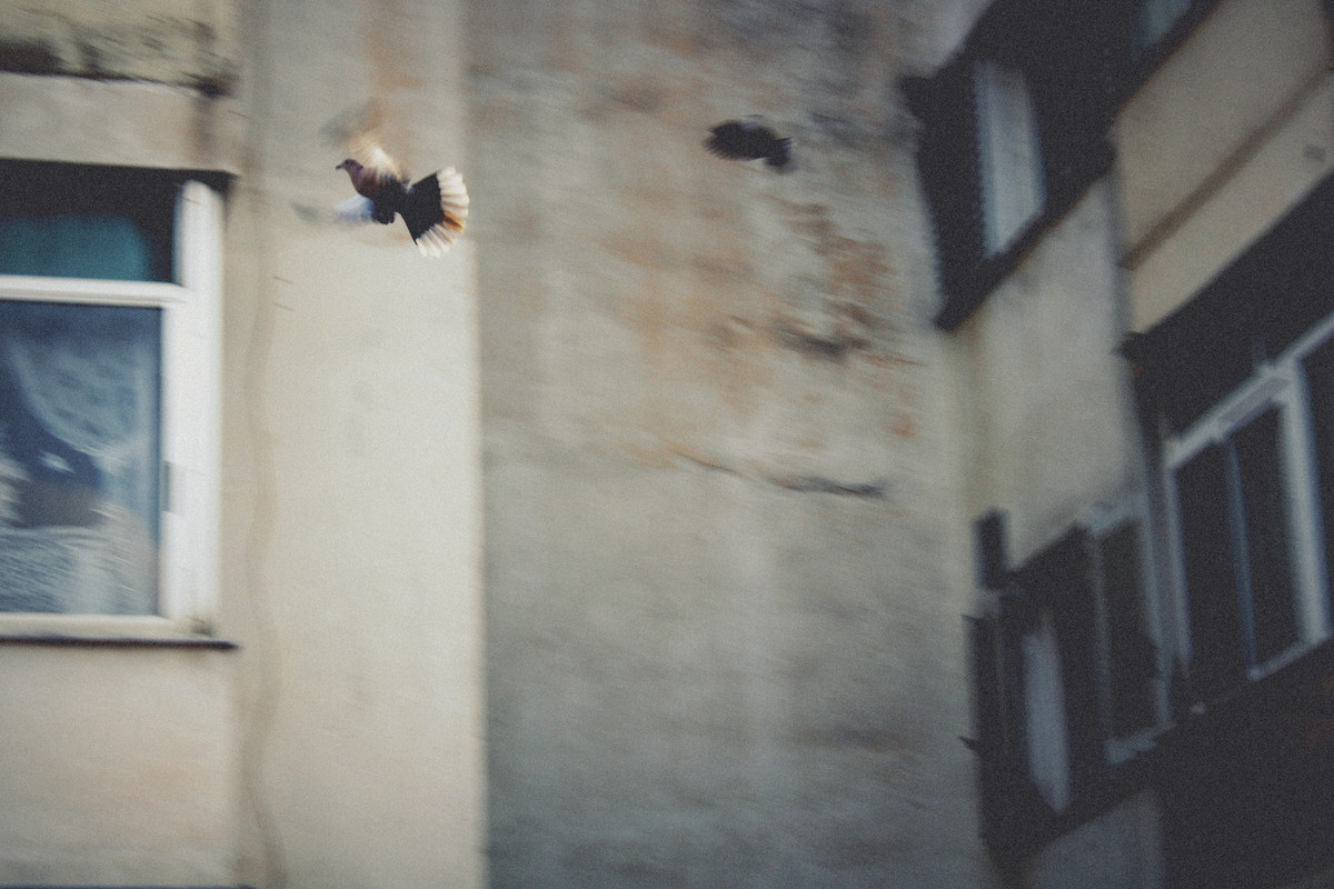 1 1 IMG 0599 001 — Postimages
