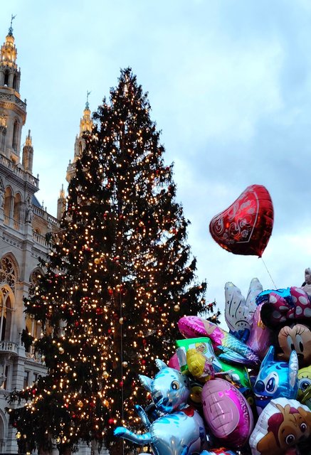 Adios Praga, hola Mercado del Ayuntamiento de Viena y concierto - Viena - Bratislava - Praga, Navidad 2024 (12)