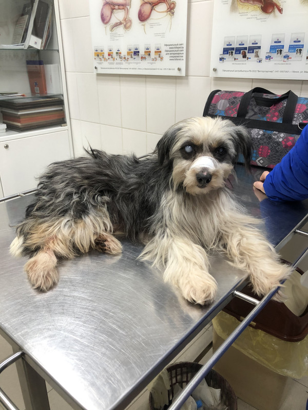 FFE4EECD-9F4A-41CA-8356-A3A8790C5599