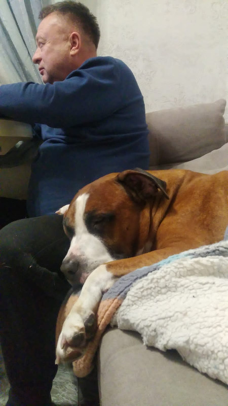 729118DB-B9F7-4FA8-848A-77A2422C4423