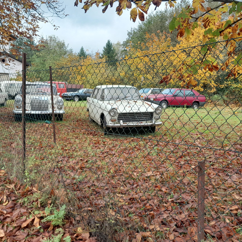 20231027-105356.jpg