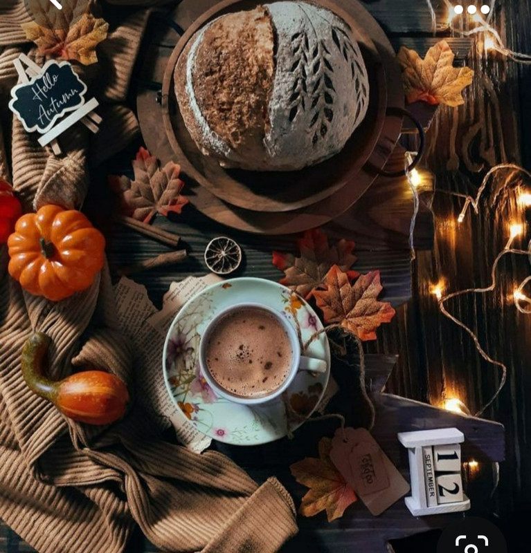 Screenshot_20230923_001136_Pinterest