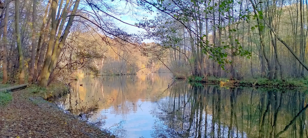 008 - IMG20201028140641