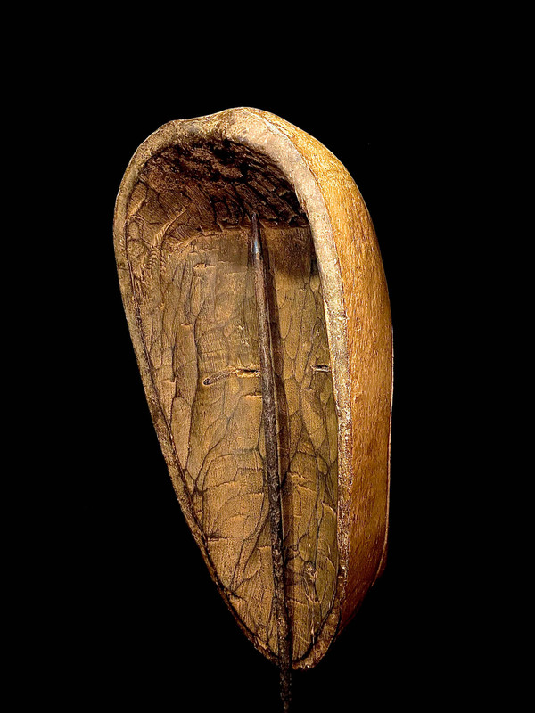 large image 6