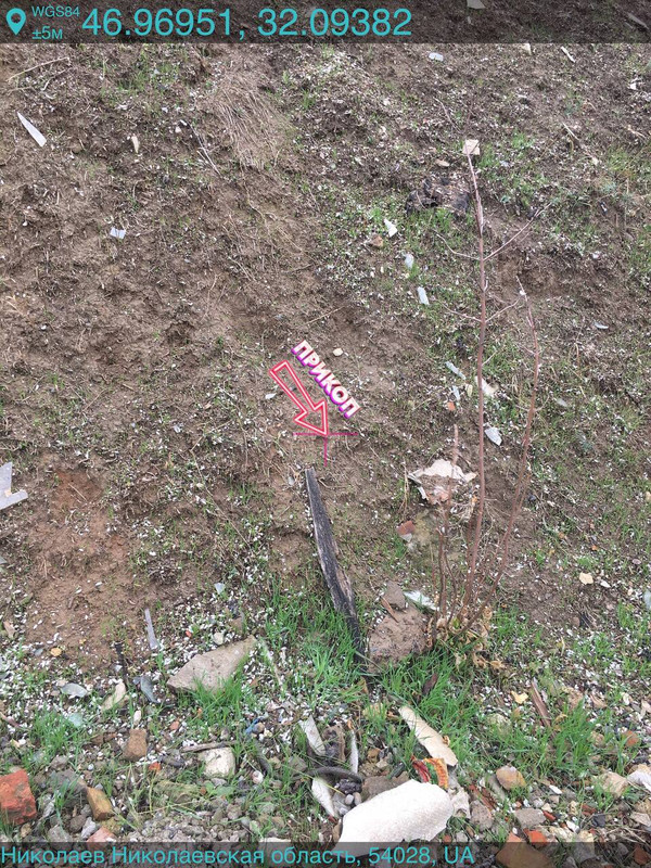 photo_2_2025-10-11_13-32-56