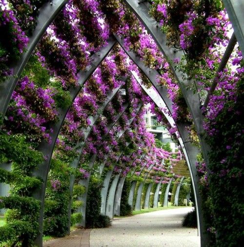 purple-archway-new.jpg
