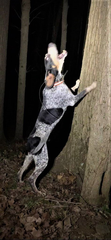 Resized_IMG954254 (1)