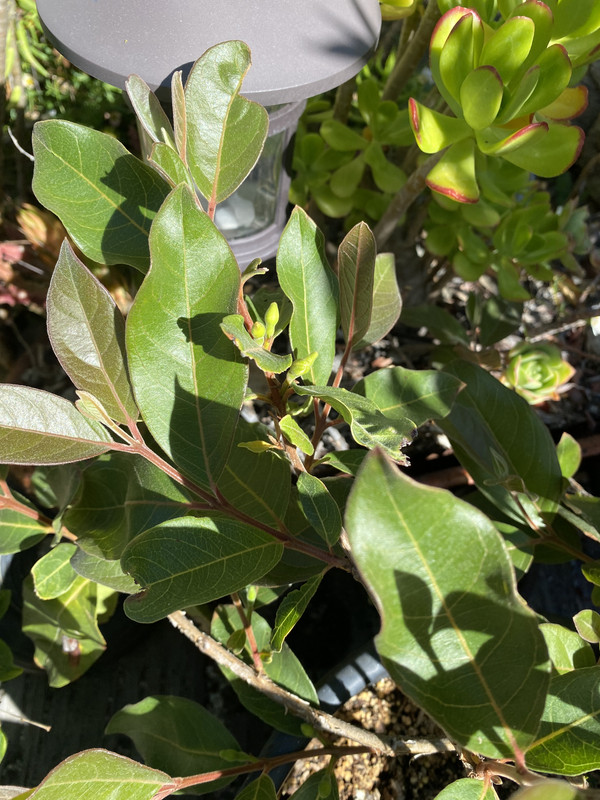 8DE3828F-537B-4C39-8B33-FBABE632BB29