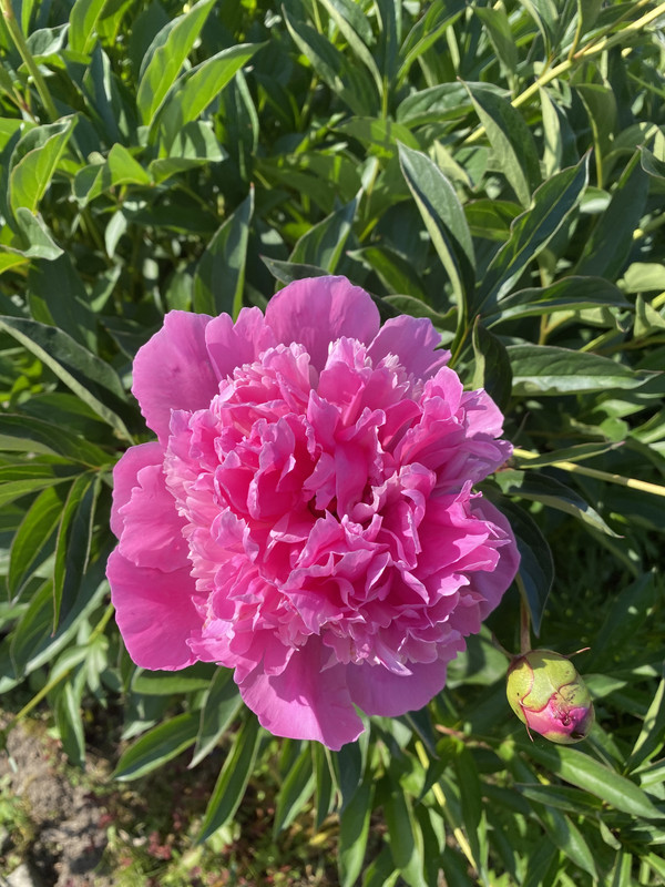 EAADFE82-5194-4868-9B8D-ED55F468E8EE