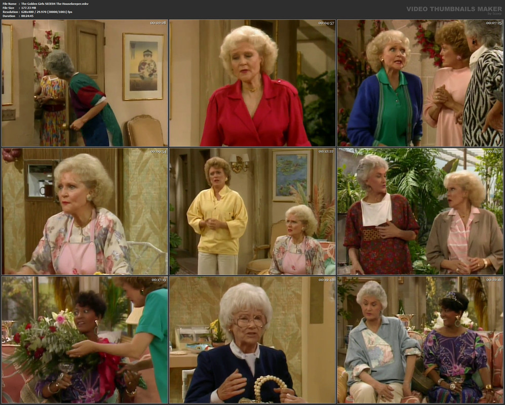 The Golden Girls S03E04 The Housekeeper.mkv