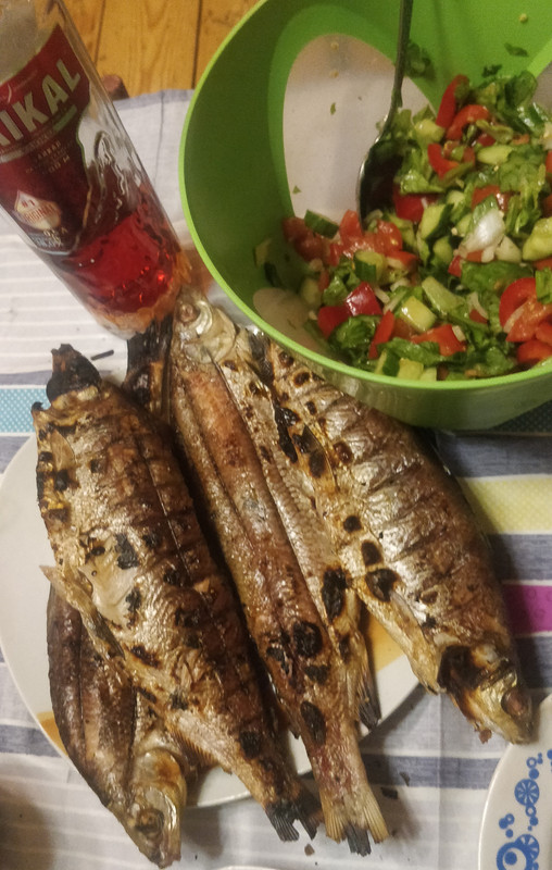 IMG_20240316_202833__01