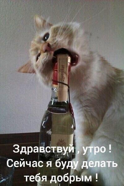 [Изображение: image.jpg]