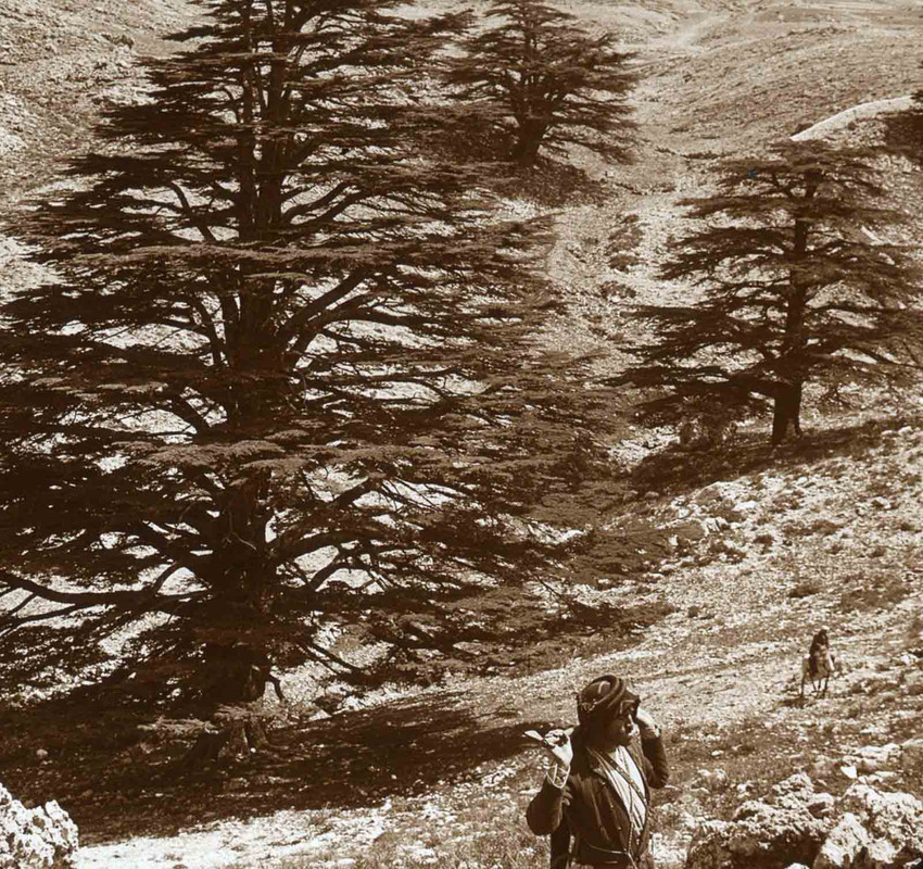 mountains-holy-land-old-photographs (4)