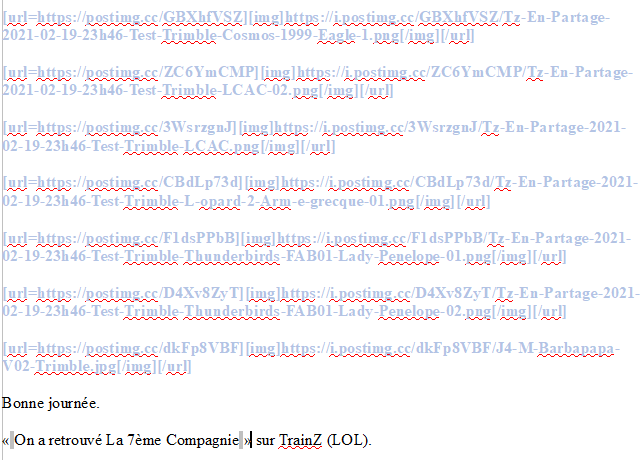 T&C - 2021-02-20 - PostImages (FAQ - 23 Détail 'On a retrouvé la 7ème Compagnie')