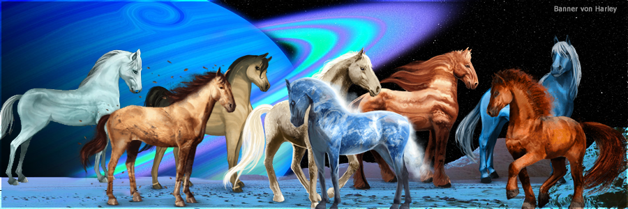okami-plankketenjj-neu.png