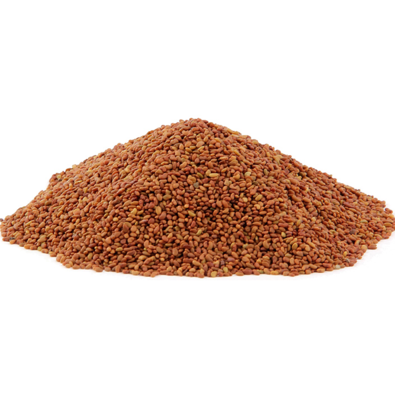 Alfalfa Seed Whole